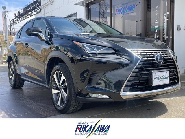 NX300h Iパッケージ