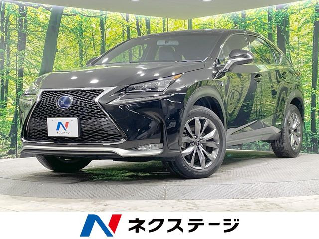 NX300h Fスポーツ