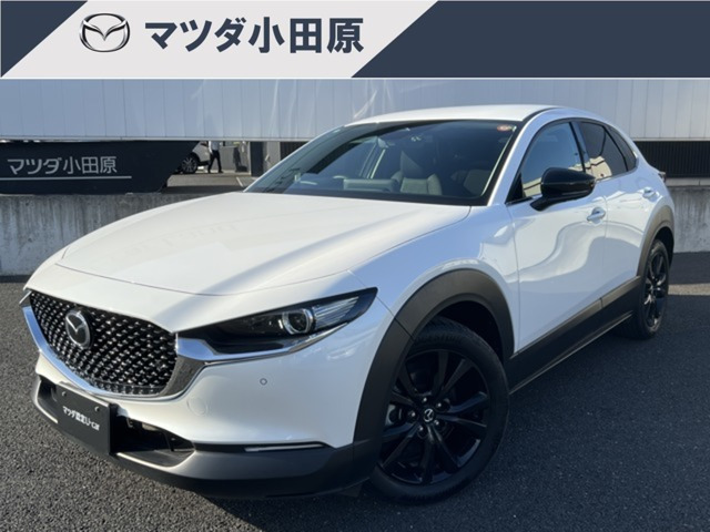 CX-302.0 20S