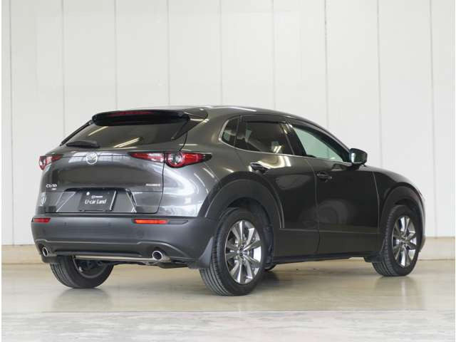 CX-301.8 XD Lパッケージ 4WD