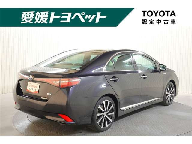 SAI2.4 G ヴィオラ