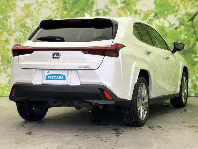 UX250h グレイスフル エクスプローラー