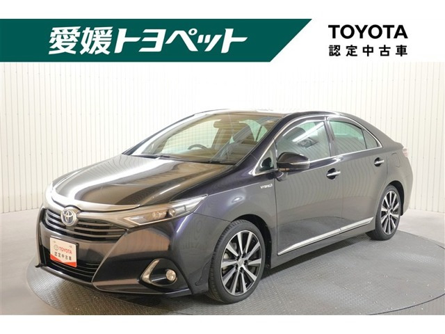 SAI2.4 G ヴィオラ