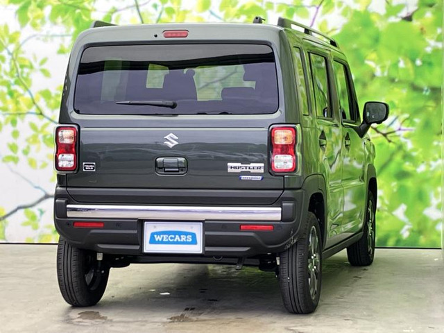 ハスラータフワイルド