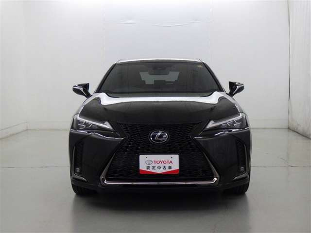 UX250h Fスポーツ