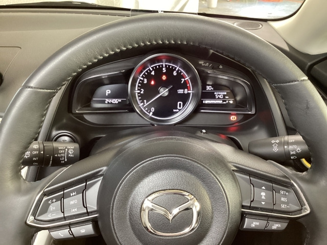 MAZDA21.5 15 サンリット シトラス