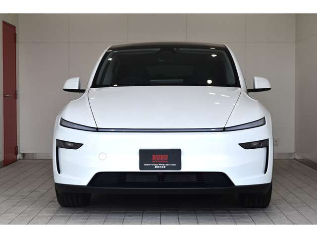 モデルYロングレンジ 4WD