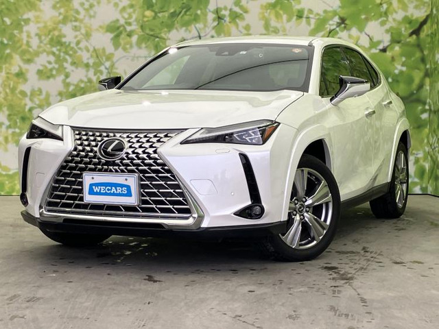 UX250h グレイスフル エクスプローラー