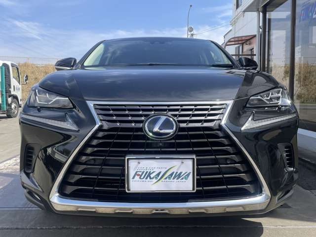 NX300h Iパッケージ