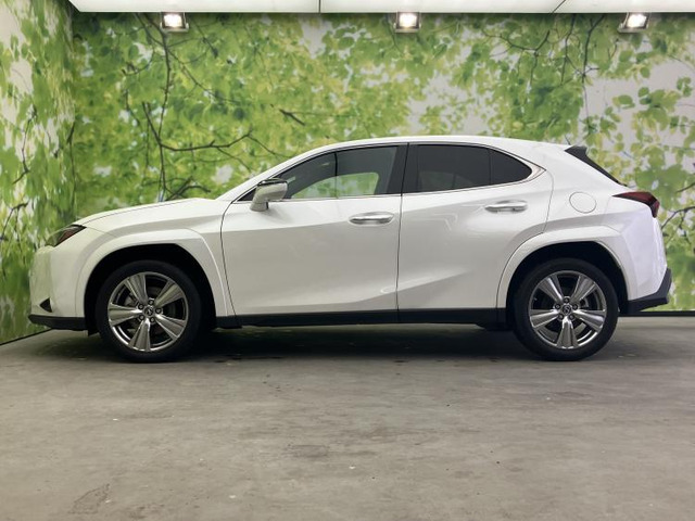 UX250h グレイスフル エクスプローラー