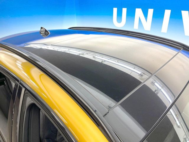 ���p�m���}�~�b�N�K���X���[�t:�唗�͂̃p�m���}���[�t�́A�㕔���Ȃɂ܂ő����Ă���A�J���I�ȋ�Ԃ����y���݂��������܂��B