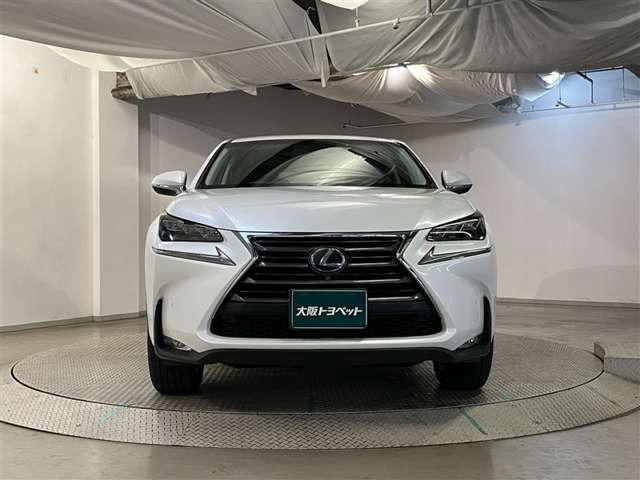 NX300h バージョンL