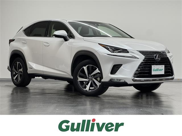 NX300h バージョンL