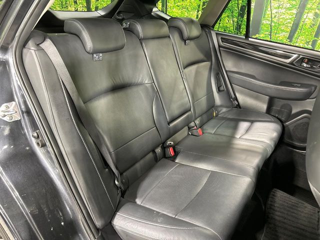 �㕔���Ȃ��C�ɂȂ�悤�ȃL�Y�E�����ւ��蓙�A�傫�ȃ_���[�W�͂Ȃ��A�ǍD�ȏ�Ԃł��B