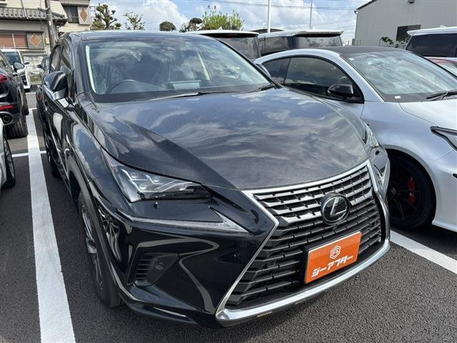 NX300 Iパッケージ