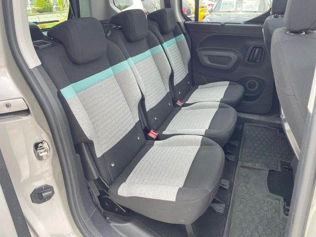 ���㕔���Ȃ��C�ɂȂ�悤�ȃL�Y�E�����ւ��蓙�A�傫�ȃ_���[�W�͂Ȃ��A�ǍD�ȏ�Ԃł��B