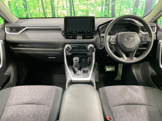 RAV42.0 X