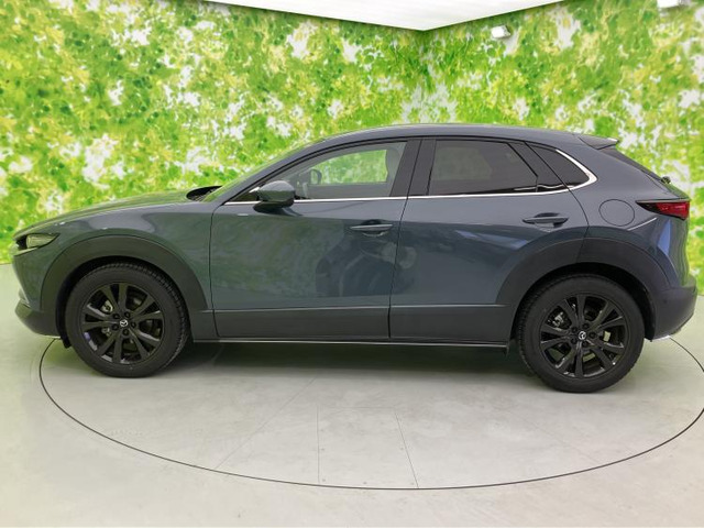 CX-301.8 XD Lパッケージ 4WD