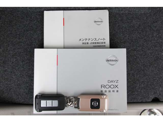 デイズルークスX