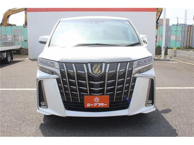 ���Ǝҗl�ւ̔̔��͂��f�肳���Ă��������܂��B �Ԍ������ԗ��̏ꍇ�́A�Ԍ����擾�������x�������z�ŕ\�����Ă���܂��B