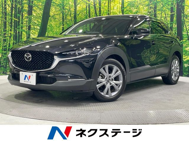 CX-302.0 20S プロアクティブ