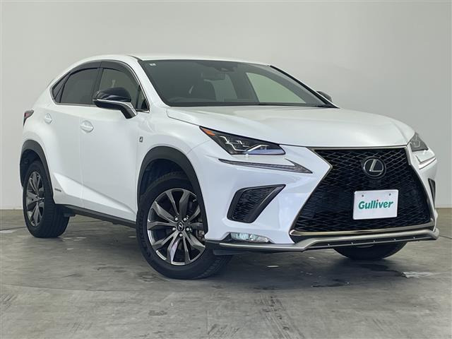 NX300h Fスポーツ