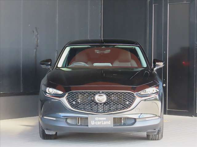 CX-302.0 20S プロアクティブ