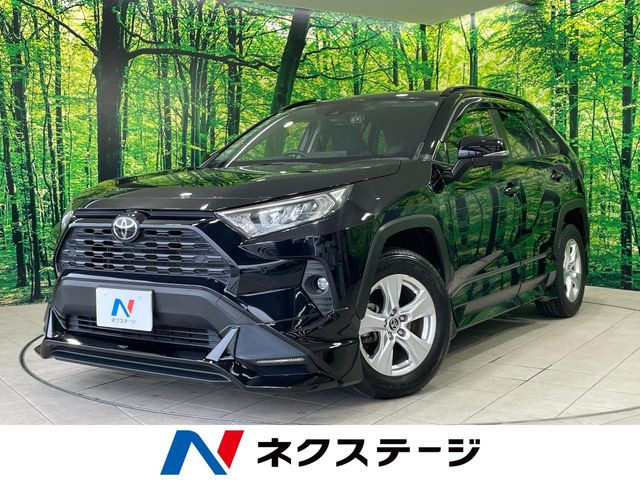 RAV42.0 X