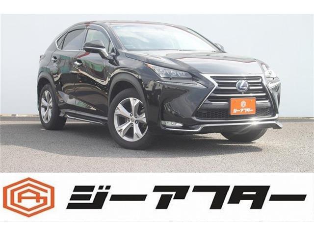 NX300h バージョンL 4WD