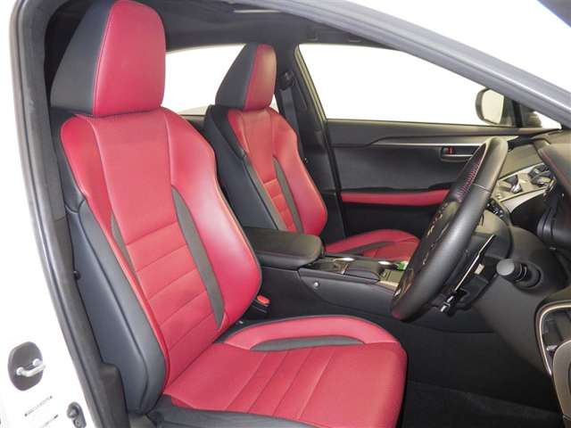 NX300h Fスポーツ