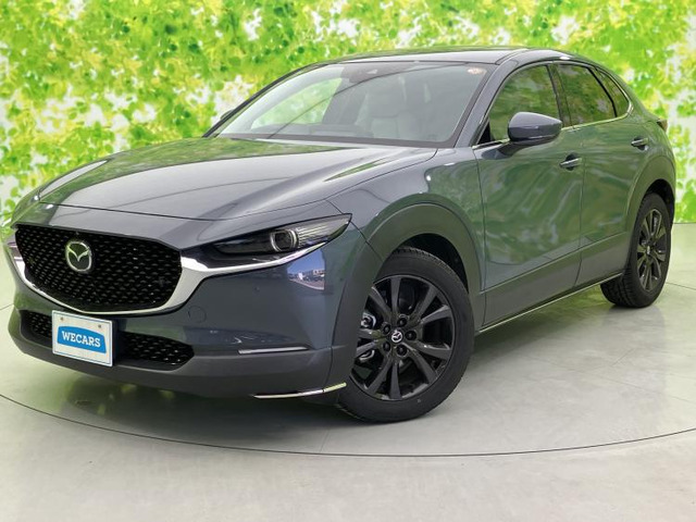 CX-301.8 XD Lパッケージ 4WD