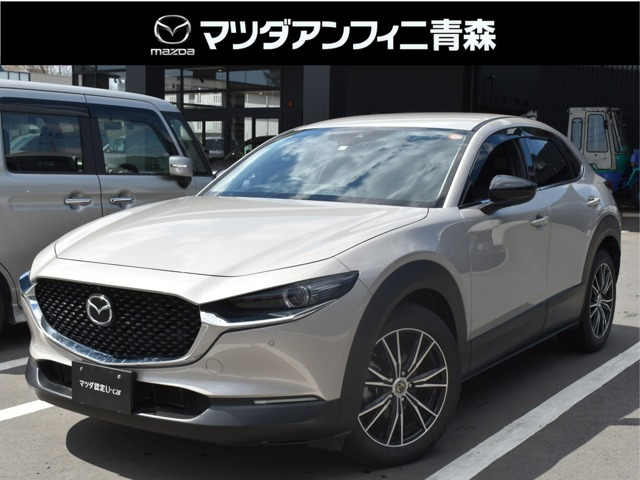 CX-302.0 20S ブラックトーンエディション