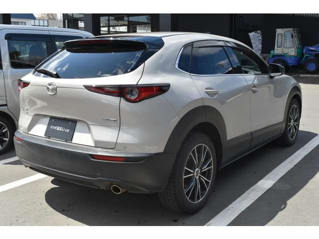 CX-302.0 20S ブラックトーンエディション