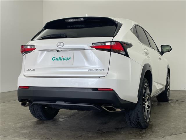 NX200t Iパッケージ