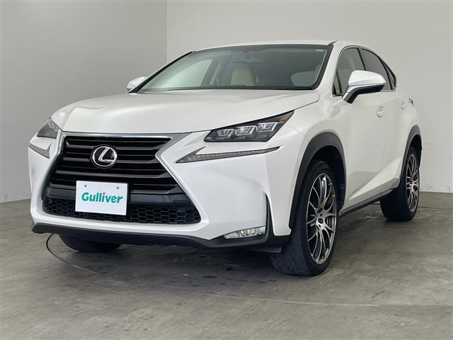 NX200t Iパッケージ