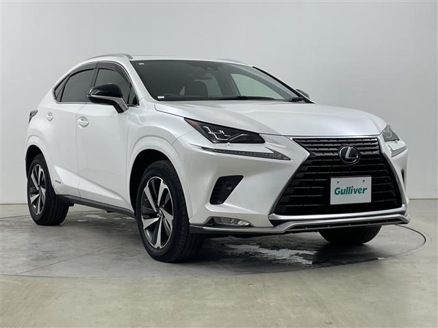 NX300h スパイス&amp;シック 4WD