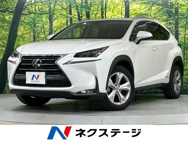 NX300h バージョンL