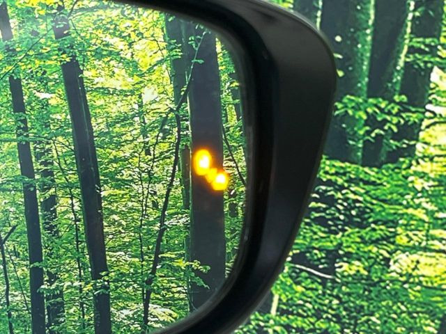 �y������p���m�z���s���A�h�A�~���[�̎��p�ɂȂ�₷���ӏ��Ɍ㑱�Ԃ��ڋ߂���ƃT�C�h�~���[�t�߂Ɍx����\���A�h���C�o�[�ɒ��ӊ��N�����Ă���܂��B