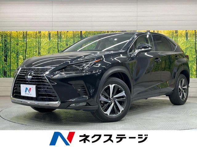 NX200t Iパッケージ