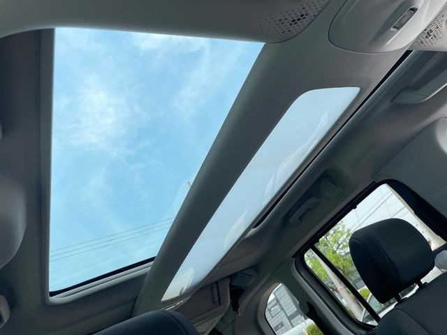 ���p�m���}�~�b�N�K���X���[�t:�唗�͂̃p�m���}���[�t�́A�㕔���Ȃɂ܂ő����Ă���A�J���I�ȋ�Ԃ����y���݂��������܂��B