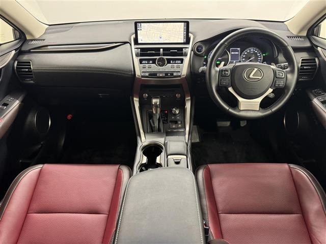 NX300h バージョンL