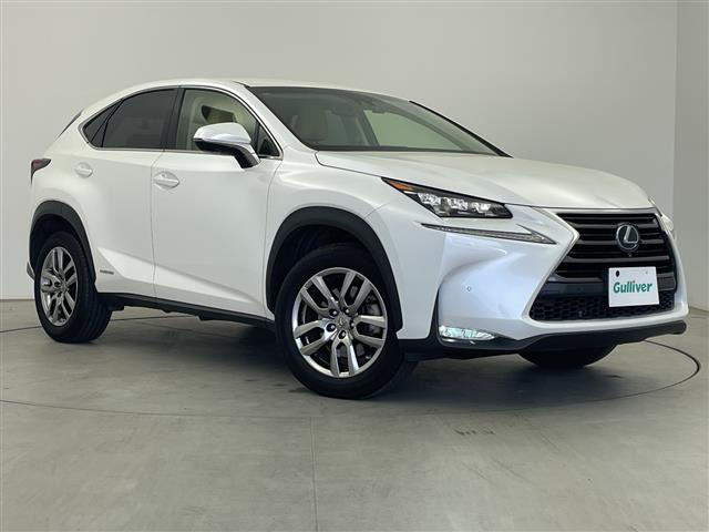 NX300h バージョンL