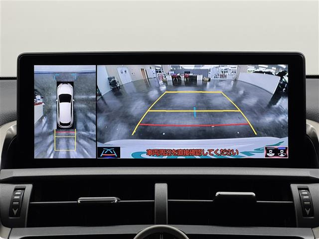 NX300h バージョンL