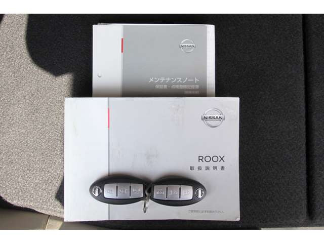 デイズルークスX