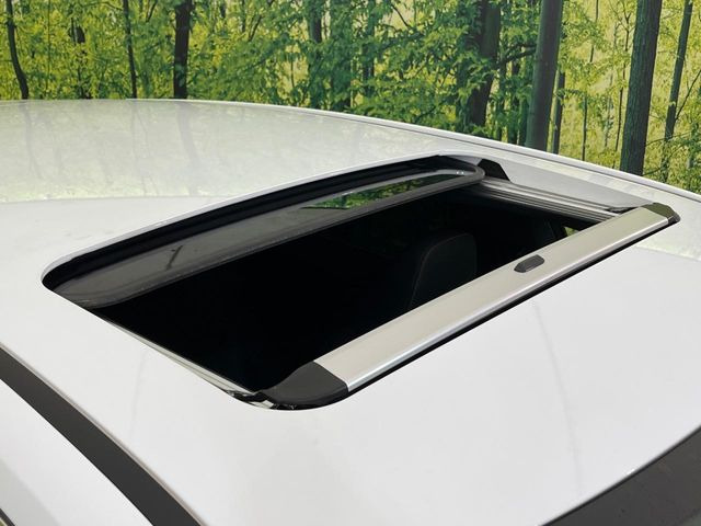 �y�T�����[�t�z�J���������Ղ�̊󏭑����A�T�����[�t����������Ă��܂�!�ԓ��ɖ�����������ꂽ��i�F���y���ވȊO�ɂ��A�ԓ��̋�C���ȒP�Ɋ��C�ł��ĉ��K�ł�!