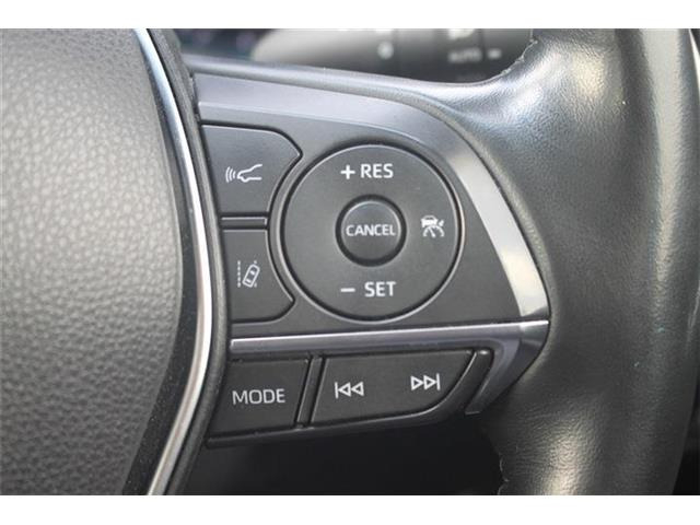 ���ЃI�[�g���[���͓����E�{�[�i�X�����s�v�B�Œ�84��܂ŉ\�ƂȂ��Ă���܂��B�R�������ł��\���܂���̂ł��C�y�ɂ����k�������B