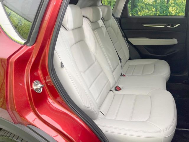 �㕔���Ȃ��C�ɂȂ�悤�ȃL�Y�E�����ւ��蓙�A�傫�ȃ_���[�W�͂Ȃ��A�ǍD�ȏ�Ԃł��B