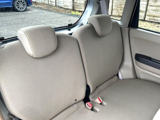 �㕔���Ȃ��C�ɂȂ�悤�ȃL�Y�E�����ւ��蓙�A�傫�ȃ_���[�W�͂Ȃ��A�ǍD�ȏ�Ԃł��B