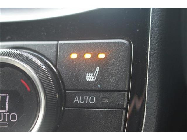 ���ЃI�[�g���[���͓����E�{�[�i�X�����s�v�B�Œ�84��܂ŉ\�ƂȂ��Ă���܂��B�R�������ł��\���܂���̂ł��C�y�ɂ����k�������B