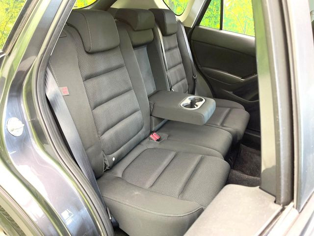 �㕔���Ȃ��C�ɂȂ�悤�ȃL�Y�E�����ւ��蓙�A�傫�ȃ_���[�W�͂Ȃ��A�ǍD�ȏ�Ԃł��B